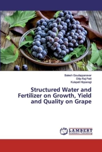 Structured Water and Fert - Goudappanavar - Books -  - 9786139852543 - September 5, 2019