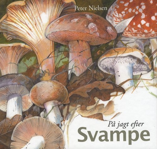 Cover for Peter Nielsen · På jagt efter: På jagt efter svampe (Indbundet Bog) [1. udgave] [Indbundet] (2009)