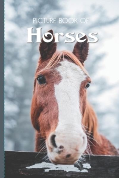 Cover for Old Church Lane Books · Picture Book Of Horses (Taschenbuch) (2020)