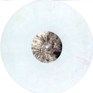 Cover for Thisquietarmy · Rebirths (LP)