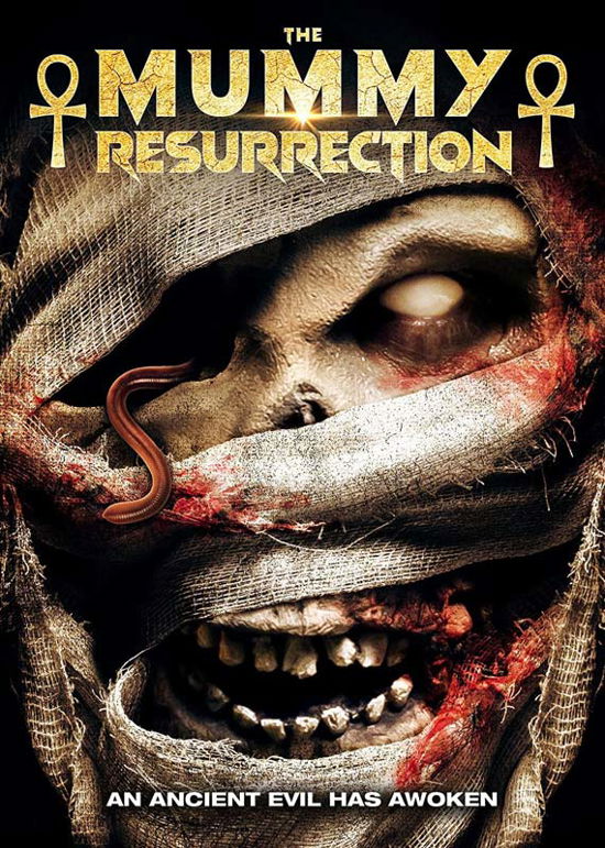 Mummy Resurrection - Steve Lawson - Filmes - High Fliers - 5022153108544 - 9 de janeiro de 2023