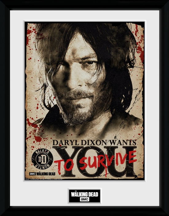 Cover for Walking Dead (The) · Walking Dead (The): Daryl Needs You (Stampa In Cornice 30x40 Cm) (MERCH)