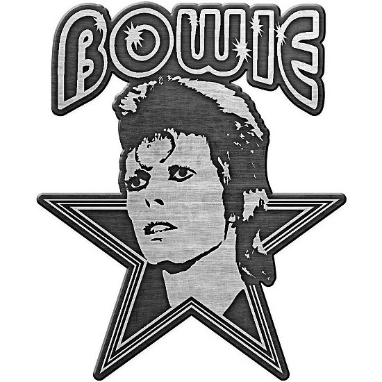 David Bowie Pin Badge: Aladdin Sane - David Bowie - Marchandise -  - 5056365724544 - 