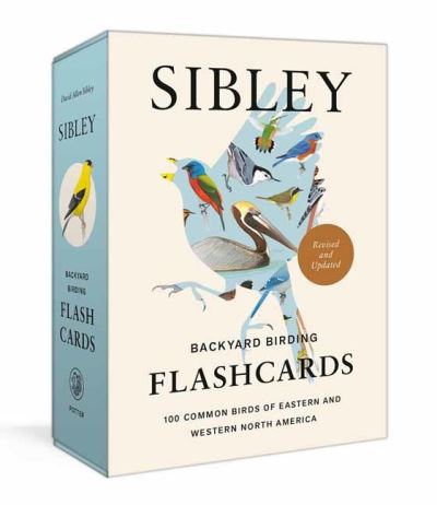 Cover for David Allen Sibley · Sibley Backyard Birding Flashcards, Revised and Updated: 100 Common Birds of Eastern and Western North America (Flashcards) (2023)