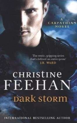 Cover for Christine Feehan · Dark Storm: Number 23 in series - Dark Carpathian (Pocketbok) (2013)