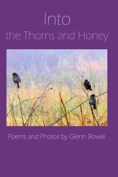 Cover for Glenn Bowie · Into the Thorns and Honey (Paperback Book) (2015)