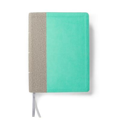 Cover for CSB Bibles by Holman · Lifeway Women's Bible, Gray / Mint LeatherTouch, Indexed (Leather Book) (2022)