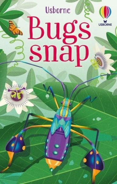 Cover for Abigail Wheatley · Bugs snap - Snap Cards (Flashcards) (2021)