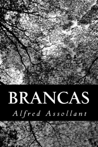 Cover for Alfred Assollant · Brancas (Paperback Bog) (2013)
