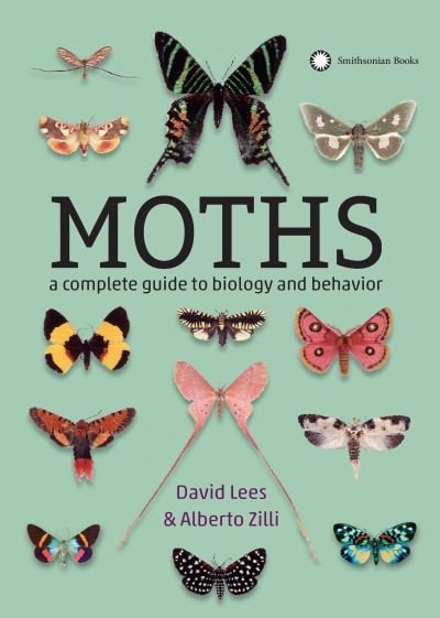 Cover for David Lees · Moths (Pocketbok) (2019)