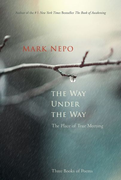 Cover for Mark Nepo · The Way Under the Way: The Place of True Meeting (Hardcover Book) (2016)