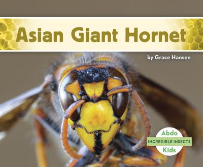 Cover for Grace Hansen · Asian Giant Hornet - Incredible Insects (Paperback Book) (2021)