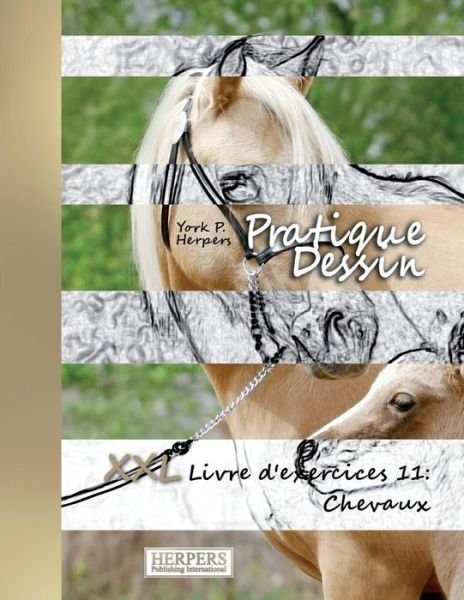 Cover for York P Herpers · Pratique Dessin - XXL Livre d'exercices 11 (Pocketbok) (2018)