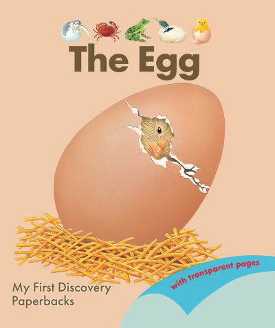 Cover for Rene Mettler · The Egg - My First Discovery Paperbacks (Paperback Book) (2023)