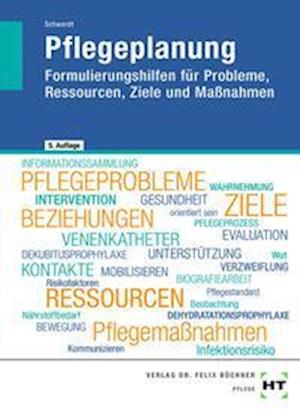 Pflegeplanung - Christine Schwerdt - Książki - Handwerk + Technik GmbH - 9783582317544 - 2 marca 2022