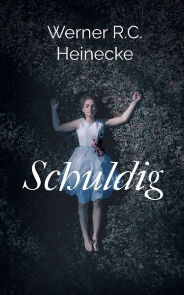 Cover for Heinecke · Schuldig (Buch) (2019)