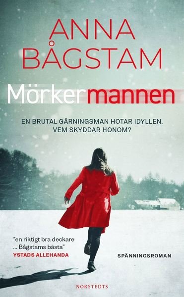 Cover for Anna Bågstam · Morden i Lerviken: Mörkermannen (Taschenbuch) (2021)