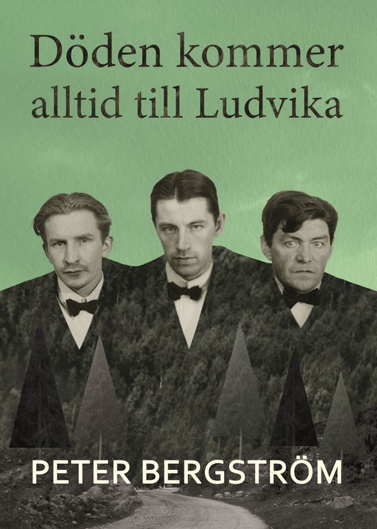 Cover for Peter Bergström · Döden kommer alltid till Ludvika (Hardcover Book) (2023)