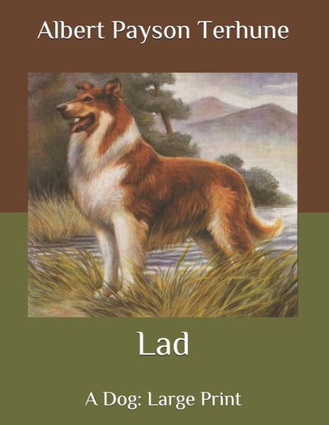 Cover for Albert Payson Terhune · Lad (Paperback Book) (2020)