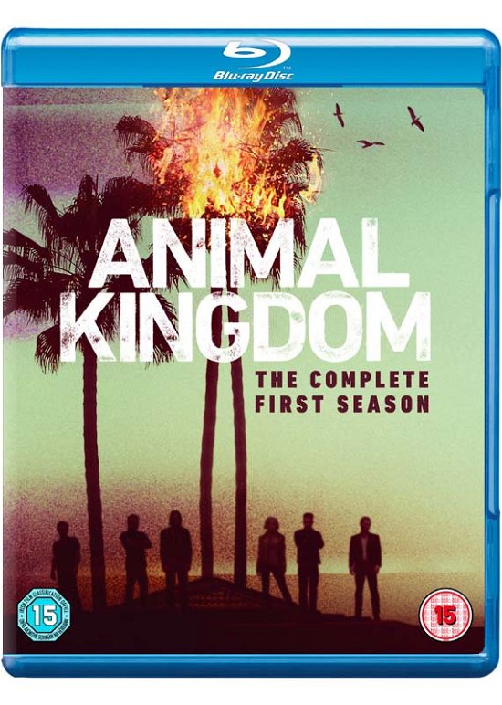Animal Kingdom Season 1 - TV Series - Elokuva - Warner Bros - 5051892204545 - maanantai 10. huhtikuuta 2017
