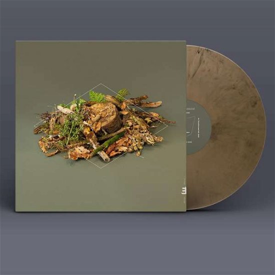 Cover for Fergus Mccreadie · Forest Floor (LP) (2022)