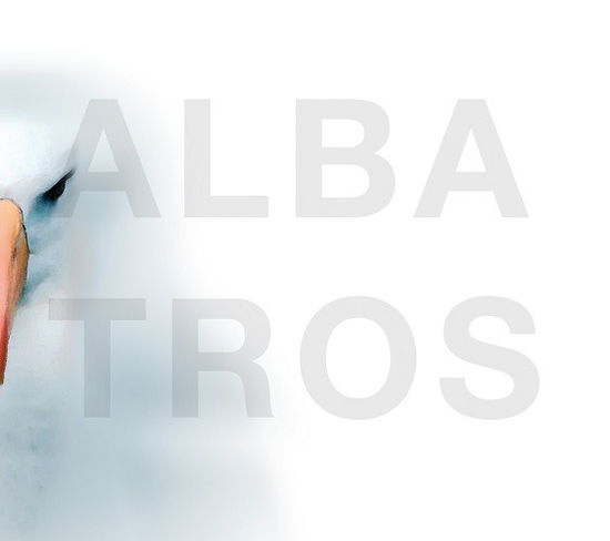 Cover for Dalsass,norbert / E-volution · Albatros (LP) (2019)