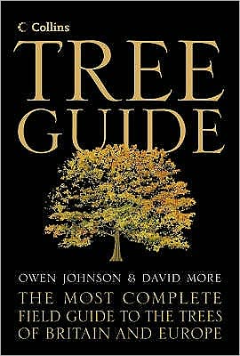 Collins Tree Guide - David More - Books - HarperCollins Publishers - 9780007139545 - April 5, 2004