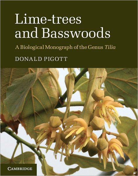 Cover for Pigott, Donald (Lancaster University) · Lime-trees and Basswoods: A Biological Monograph of the Genus Tilia (Inbunden Bok) (2012)