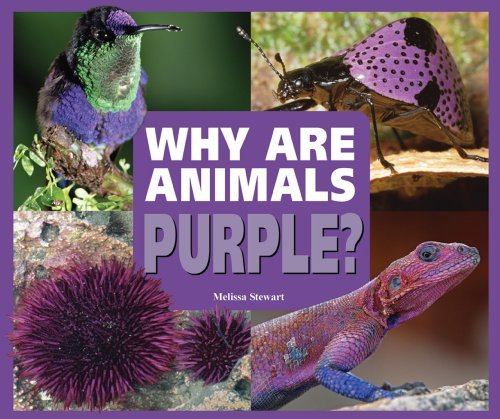 Cover for Melissa Stewart · Why Are Animals Purple? (Rainbow of Animals) (Innbunden bok) (2009)