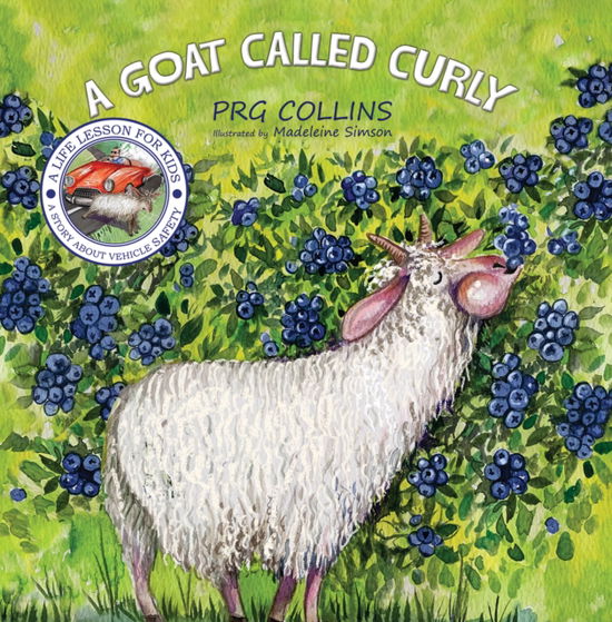 A Goat Called Curly - PRG Collins - Książki - Austin Macauley Publishers - 9781398467545 - 11 października 2024