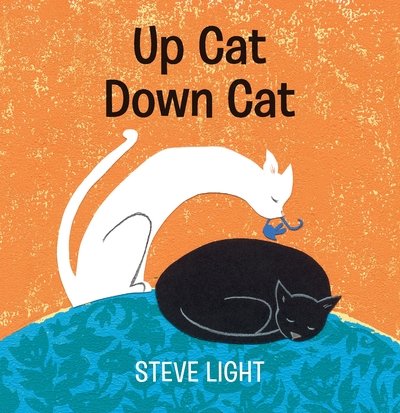 Cover for Steve Light · Up Cat Down Cat (Kartonbuch) (2020)
