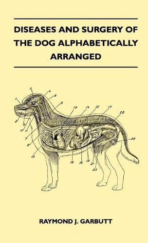 Cover for Raymond J. Garbutt · Diseases and Surgery of the Dog Alphabetically Arranged (Gebundenes Buch) (2010)
