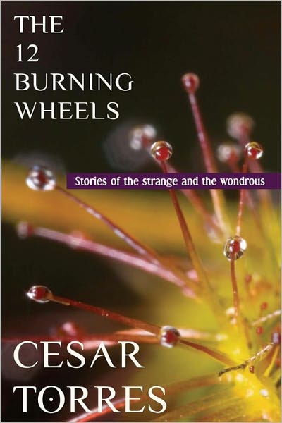 Cover for Cesar Torres · The 12 Burning Wheels (Paperback Book) (2010)