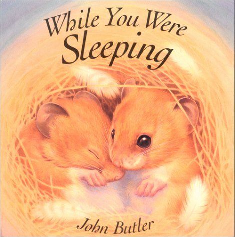 Cover for John Butler · While You Were Sleeping (Hardcover Book) [Brdbk edition] (2001)