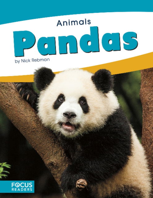 Cover for Nick Rebman · Animals: Pandas (Paperback Book) (2018)