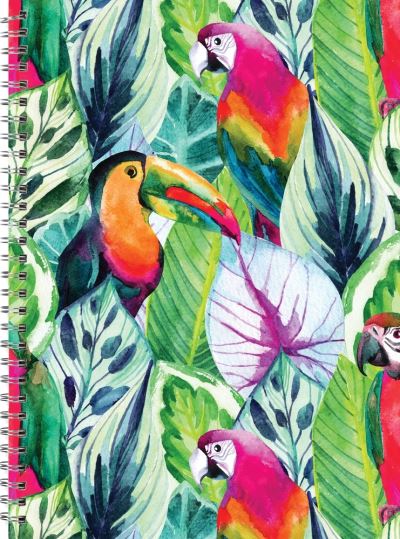 Cover for New Holland Publishers · Toucan Birds Journal A4 (Book) (2022)