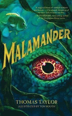 Malamander - Thomas Taylor - Audio Book - BRILLIANCE AUDIO - 9781978665545 - September 10, 2019