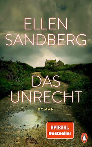 Cover for Ellen Sandberg · Das Unrecht (Inbunden Bok) (2022)