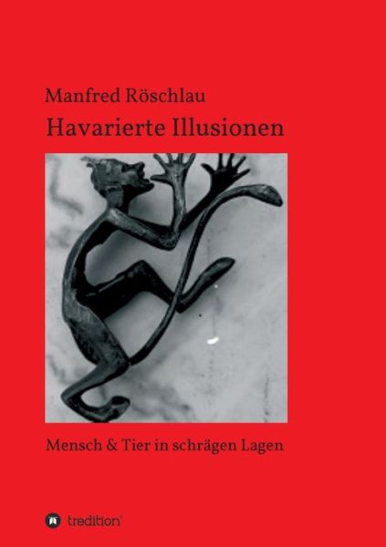 Cover for Röschlau · Havarierte Illusionen (Book) (2019)