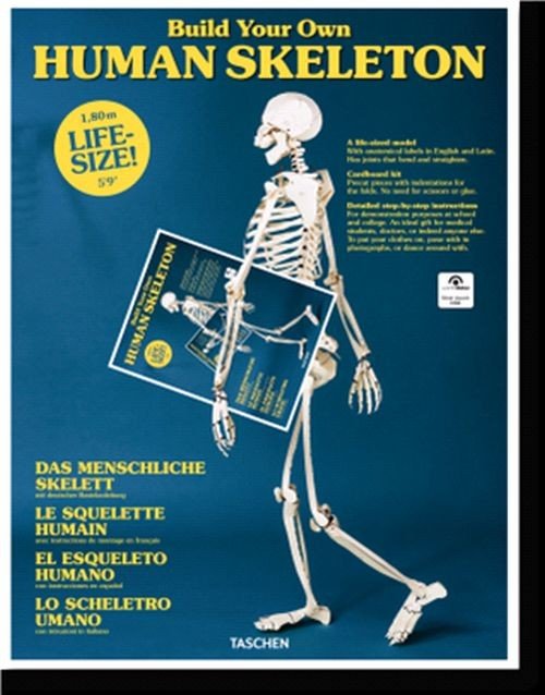 Build Your Own Human Skeleton - Taschen - Livros - Taschen GmbH - 9783836572545 - 15 de maio de 2018