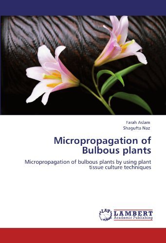 Cover for Shagufta Naz · Micropropagation of Bulbous Plants: Micropropagation of Bulbous Plants by Using Plant Tissue Culture Techniques (Paperback Book) (2012)