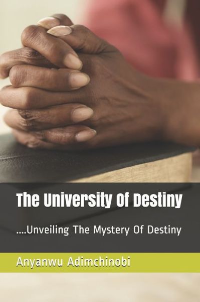 Cover for Anyanwu E Adimchinobi · The University Of Destiny (Paperback Book) (2020)