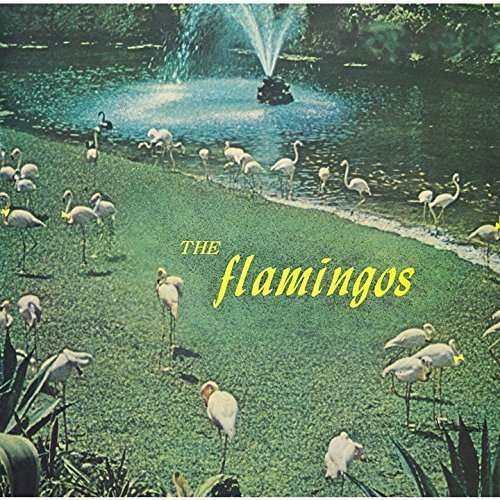 Cover for Flamingos (CD) [Limited edition] (2015)