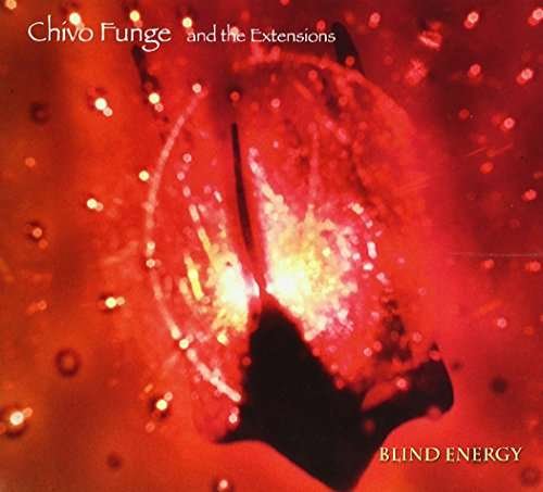 Cover for Chivo Funge and the Extensions · Blind Energy (CD) (2016)