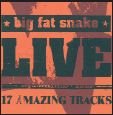 Cover for Big Fat Snake · Live (17 Amazing Tracks) (CD) (2005)