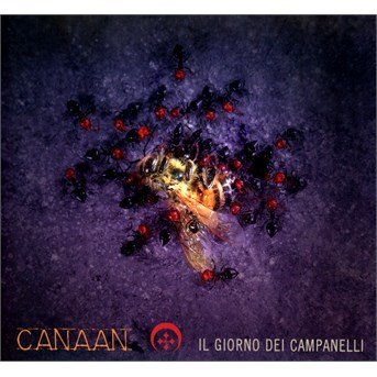 Cover for Canaan · Il Giorno Dei Campanelli (CD) (2017)