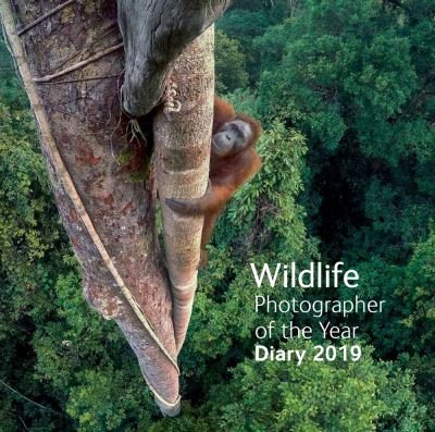 Cover for Natural History Museum · Wildlife Photographer of the Year Desk Diary 2019 (Hardcover Book) (2018)