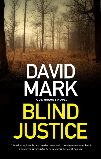 Cover for David Mark · Blind Justice - A DS McAvoy novel (Hardcover bog) [Main edition] (2022)