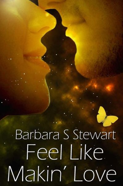 Cover for Barbara S Stewart · Feel Like Makin' Love: a New Journey for Andy (Paperback Book) (2013)