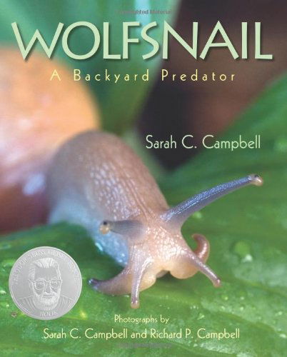 Cover for Sarah C. Campbell · Wolfsnail: A Backyard Predator (Hardcover Book) (2008)